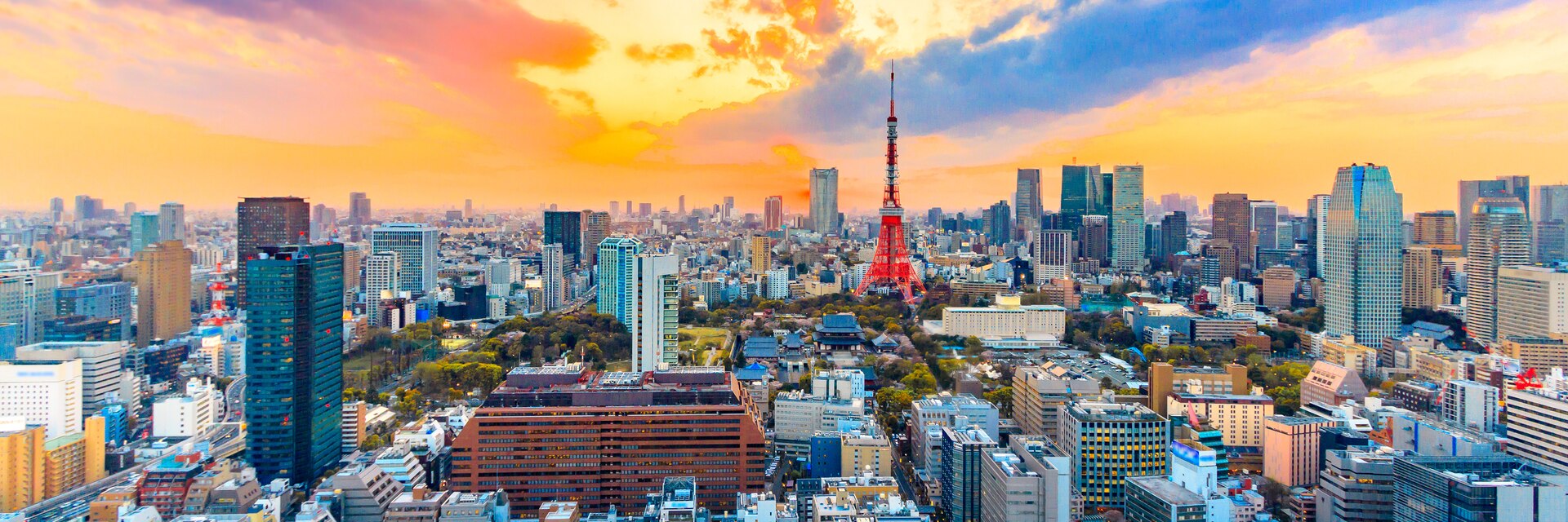 Tokio 2020 Banner Image