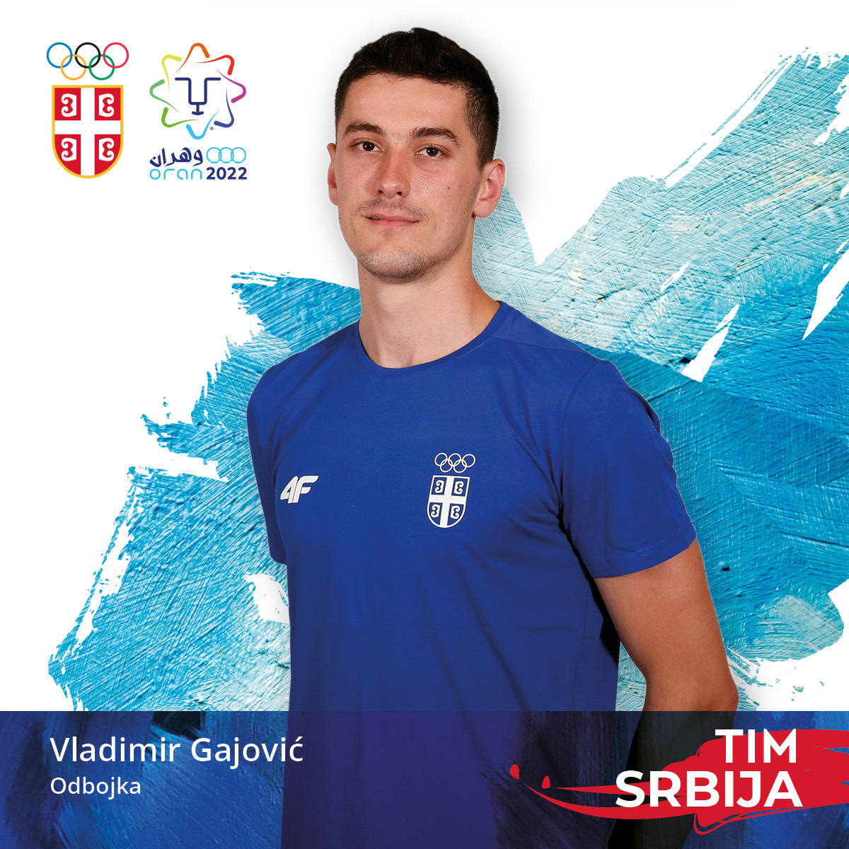 Владимир Гајовић